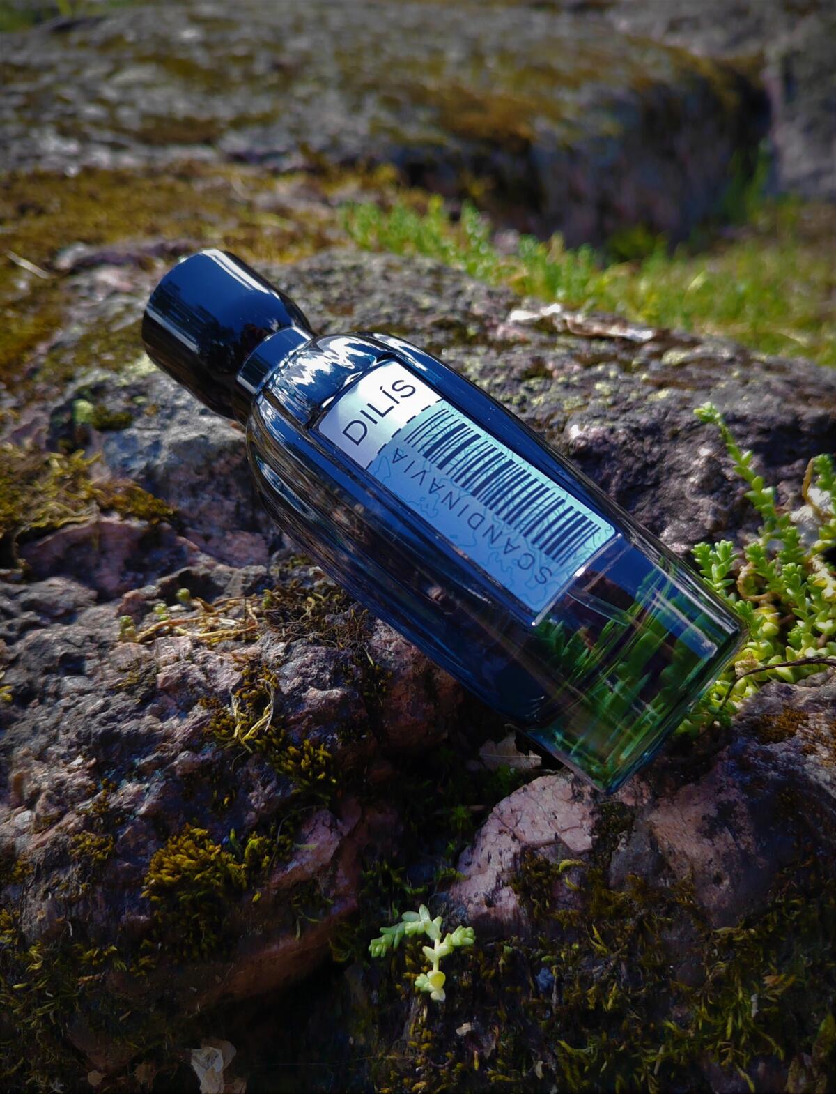 عطر ادکلن اسکاندیناوی دیلیس پرفیوم - Scandinavia Dilís Parfum - بررسی، قیمت و خرید