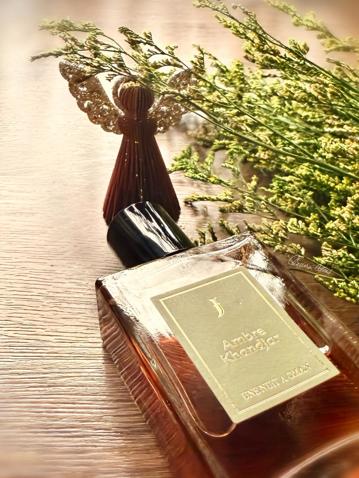 عطر ادکلن امبر خنجر اونه نویی نوماد - Ambre Khandjar Une Nuit Nomade - بررسی، قیمت و خرید
