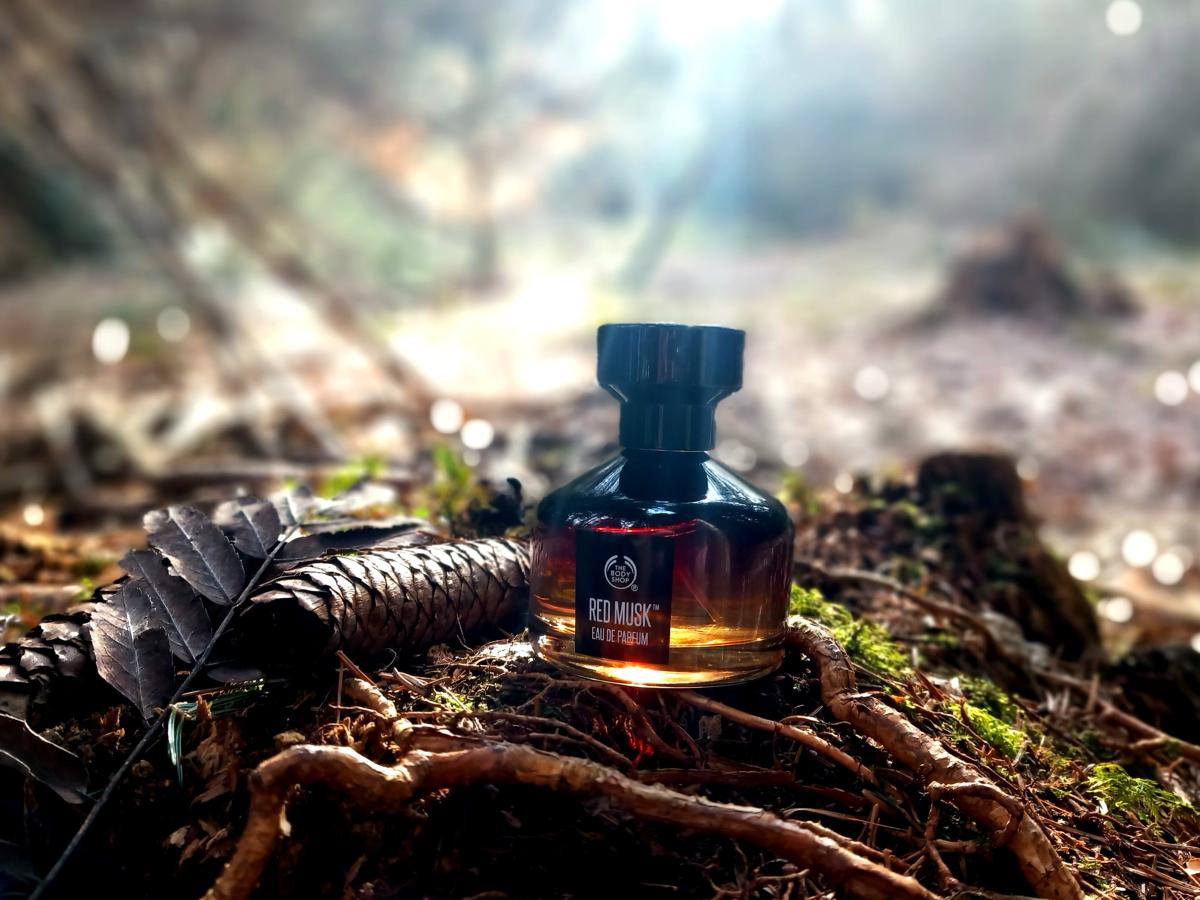 عطر ادکلن رد ماسک دبادی شاپ - Red Musk The Body Shop - بررسی، قیمت و خرید