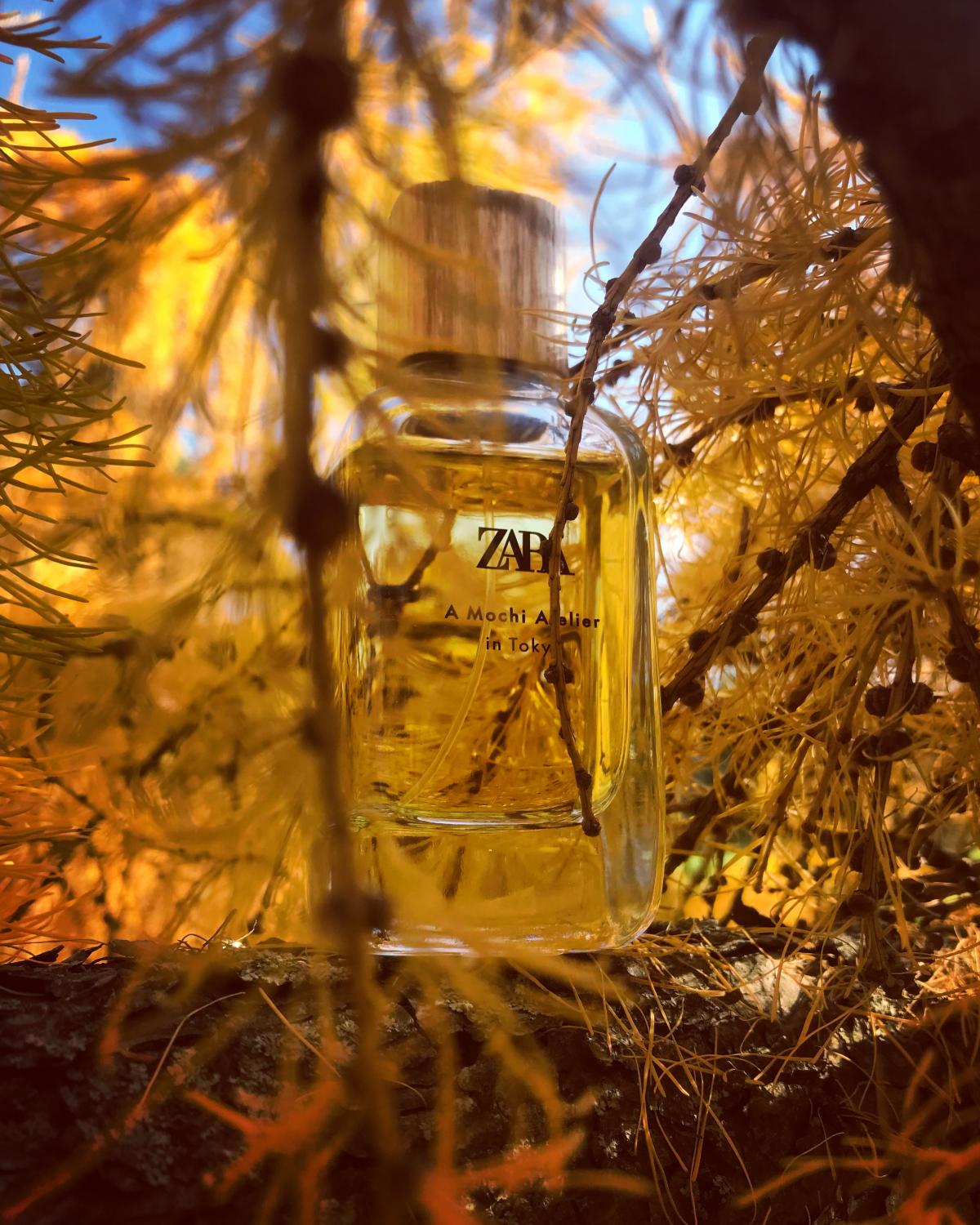 عطر ادکلن ا موچی آتلیه این توکیو زارا - A Mochi Atelier In Tokyo Zara - بررسی، قیمت و خرید