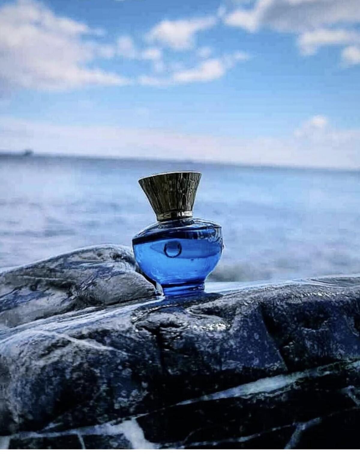 عطر ادکلن ورساچه پور فم دیلان بلو ورساج - Versace Pour Femme Dylan Blue Versace - بررسی، قیمت و خرید