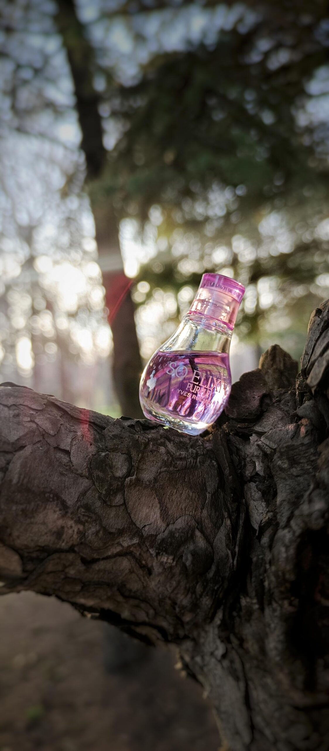 عطر ادکلن سو الیکسیر پِرپل او دو پرفیوم ایو روشه - So Elixir Purple Eau de Parfum Yves Rocher - بررسی، قیمت و خرید