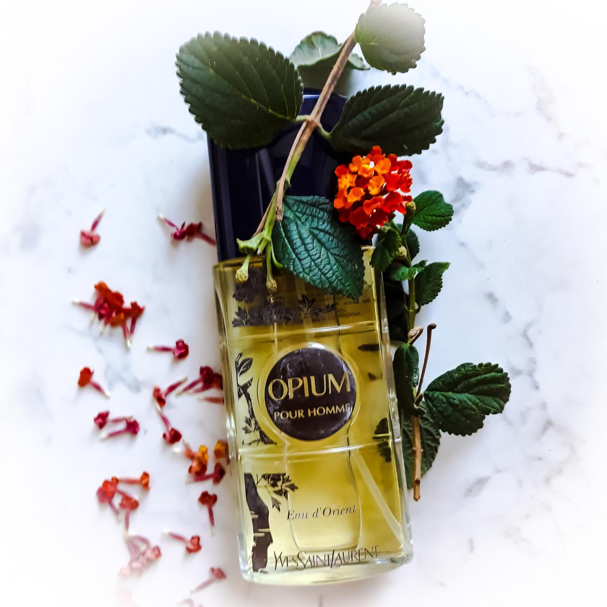 عطر ادکلن اوپیوم پور هوم او دو اورینت دو هزار و هفت ایو سن لورن - Opium Pour Homme Eau d'Orient 2007 Yves Saint Laurent - بررسی، قیمت و خرید