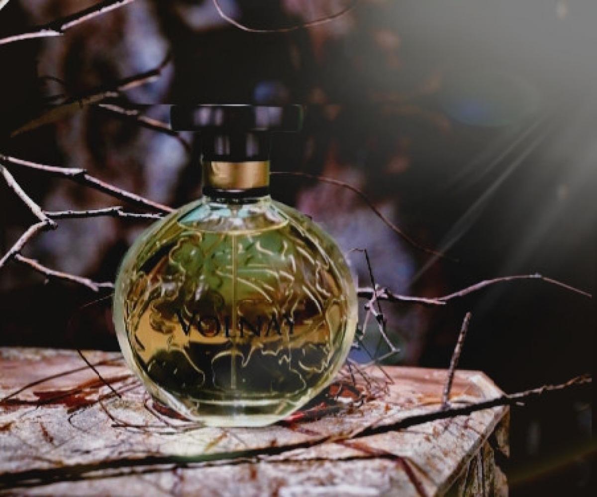 عطر ادکلن مایممائی ولنه - Mimeomai Volnay - بررسی، قیمت و خرید