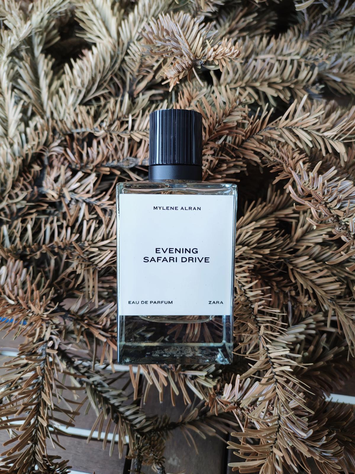 عطر ادکلن ایونینگ سافاری درایو زارا - Evening Safari Drive Zara - بررسی، قیمت و خرید