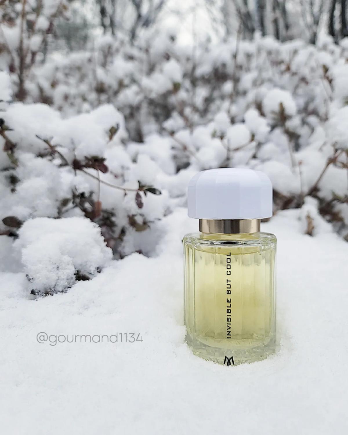 عطر ادکلن اینویزیبل بات کول رامون مونيگال - Invisible But Cool Ramon Monegal - بررسی، قیمت و خرید