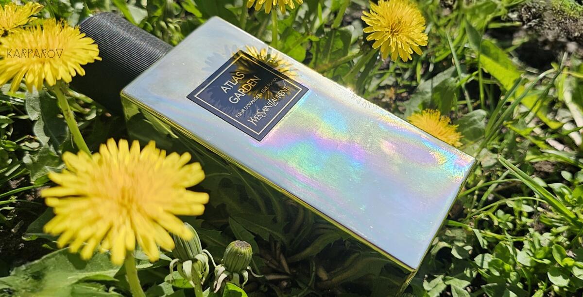 عطر ادکلن اطلس گاردن ایو سن لوران - Atlas Garden Yves Saint Laurent - بررسی، قیمت و خرید