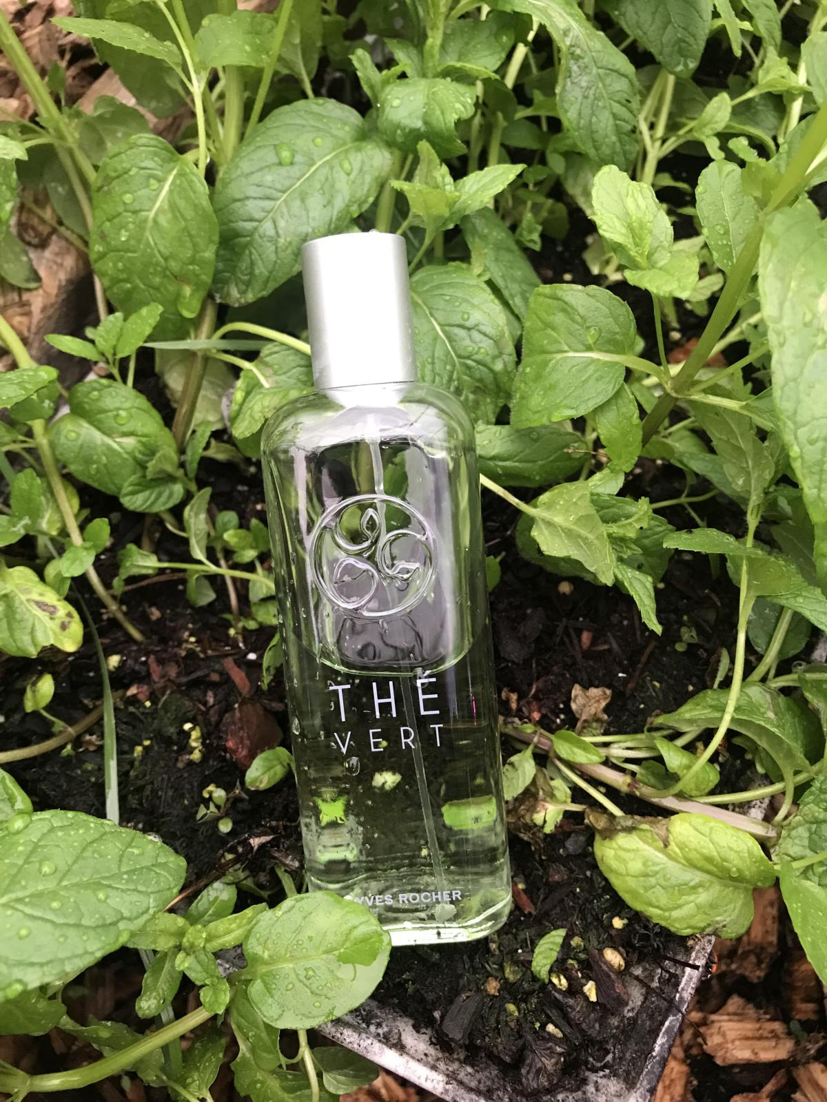 عطر ادکلن د ورت ایوروشه - The Vert Yves Rocher - بررسی، قیمت و خرید