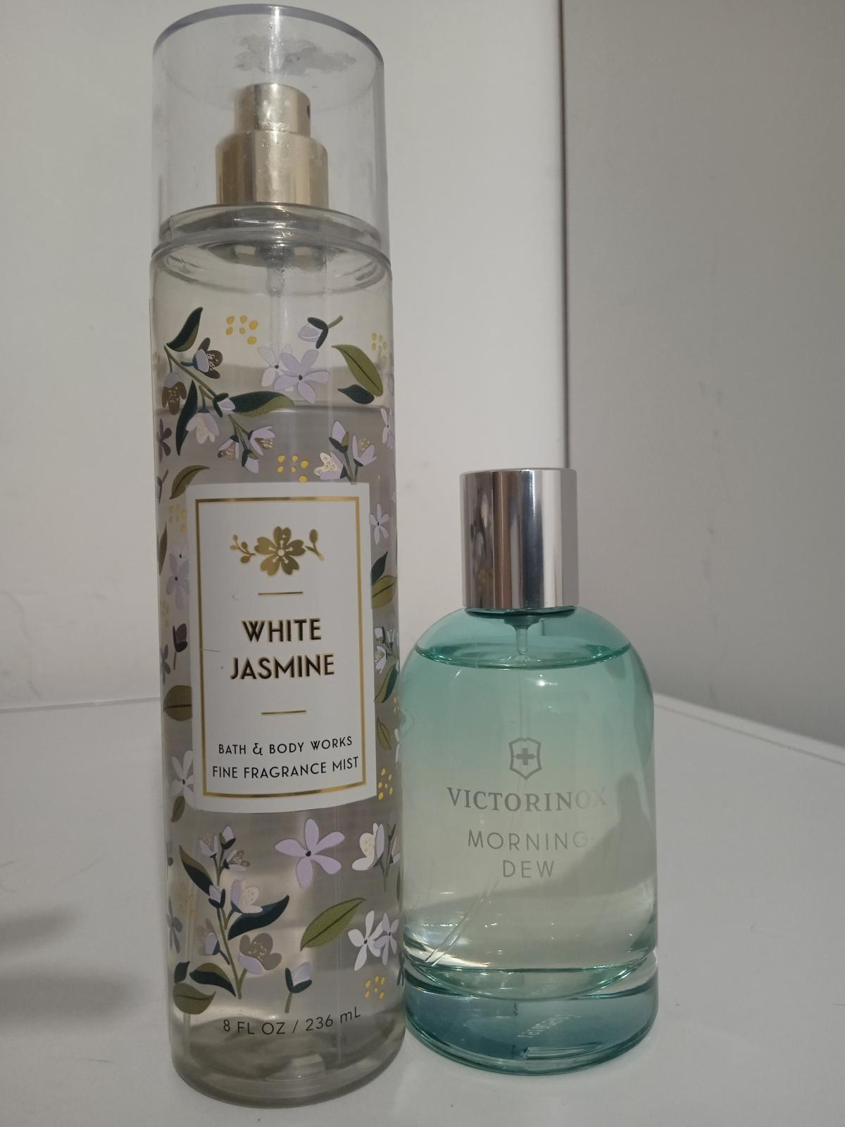 عطر ادکلن مورنینگ دیو ویکتورینوکس سوییس آرمی - Morning Dew Victorinox Swiss Army - بررسی، قیمت و خرید