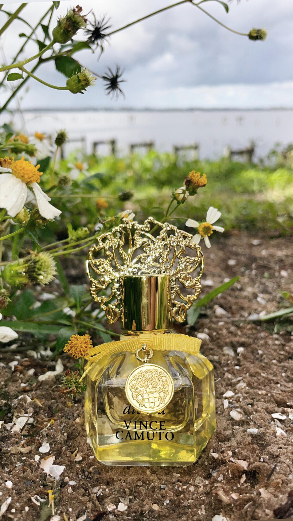 عطر ادکلن دیویونا ونس کاموتو - Divina Vince Camuto - بررسی، قیمت و خرید