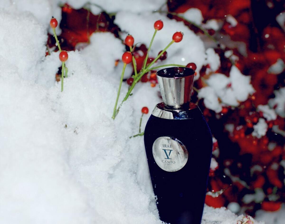 عطر ادکلن ایری وی کانتو - Irae V Canto - بررسی، قیمت و خرید