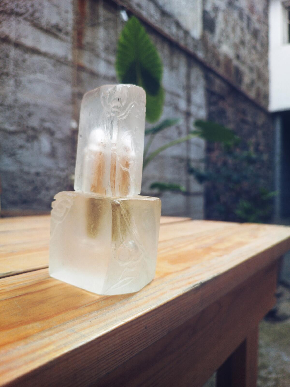 عطر ادکلن لوسید هاوس آو آتروپا - Lucid House of Atropa - بررسی، قیمت و خرید