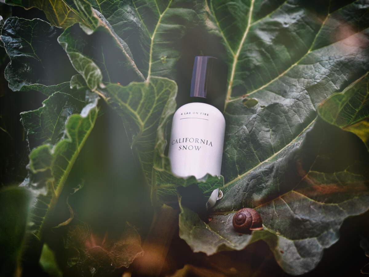 عطر ادکلن کالیفرنیا اسنو وات وی دو ایز سیکرت - California Snow What We Do Is Secret - بررسی، قیمت و خرید