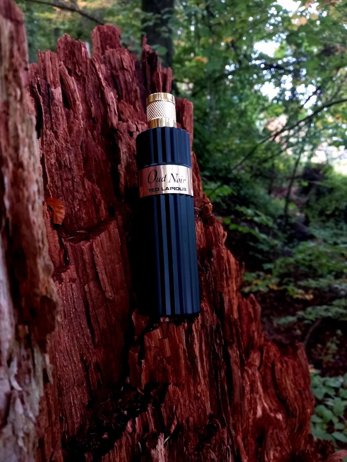 عطر ادکلن اود نوار تد لاپیدوس - Oud Noir Ted Lapidus - بررسی، قیمت و خرید