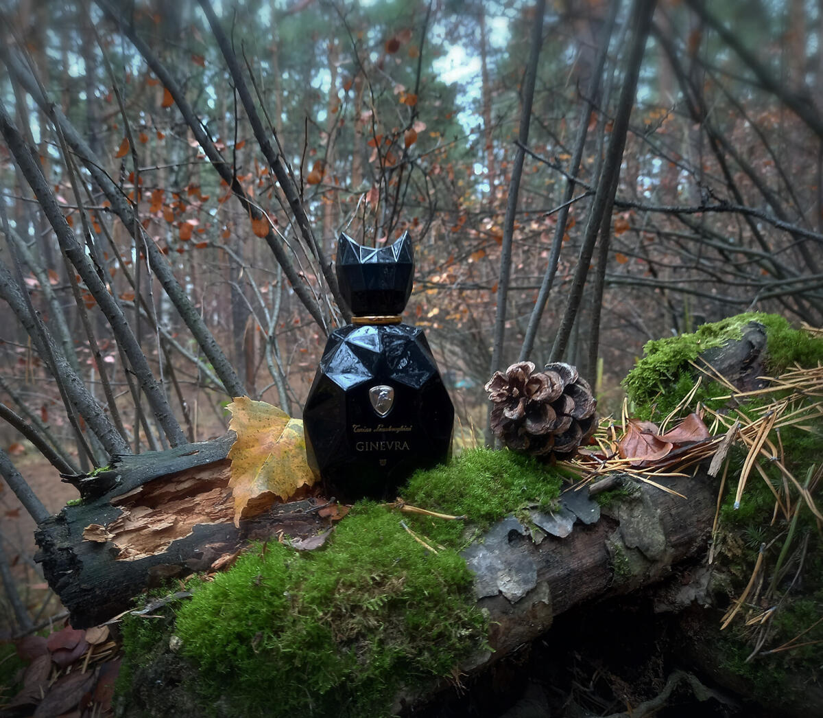 عطر ادکلن جینورا بلک پنتر تونی نو لامبورگینی - Ginevra Black Panther Tonino Lamborghini - بررسی، قیمت و خرید