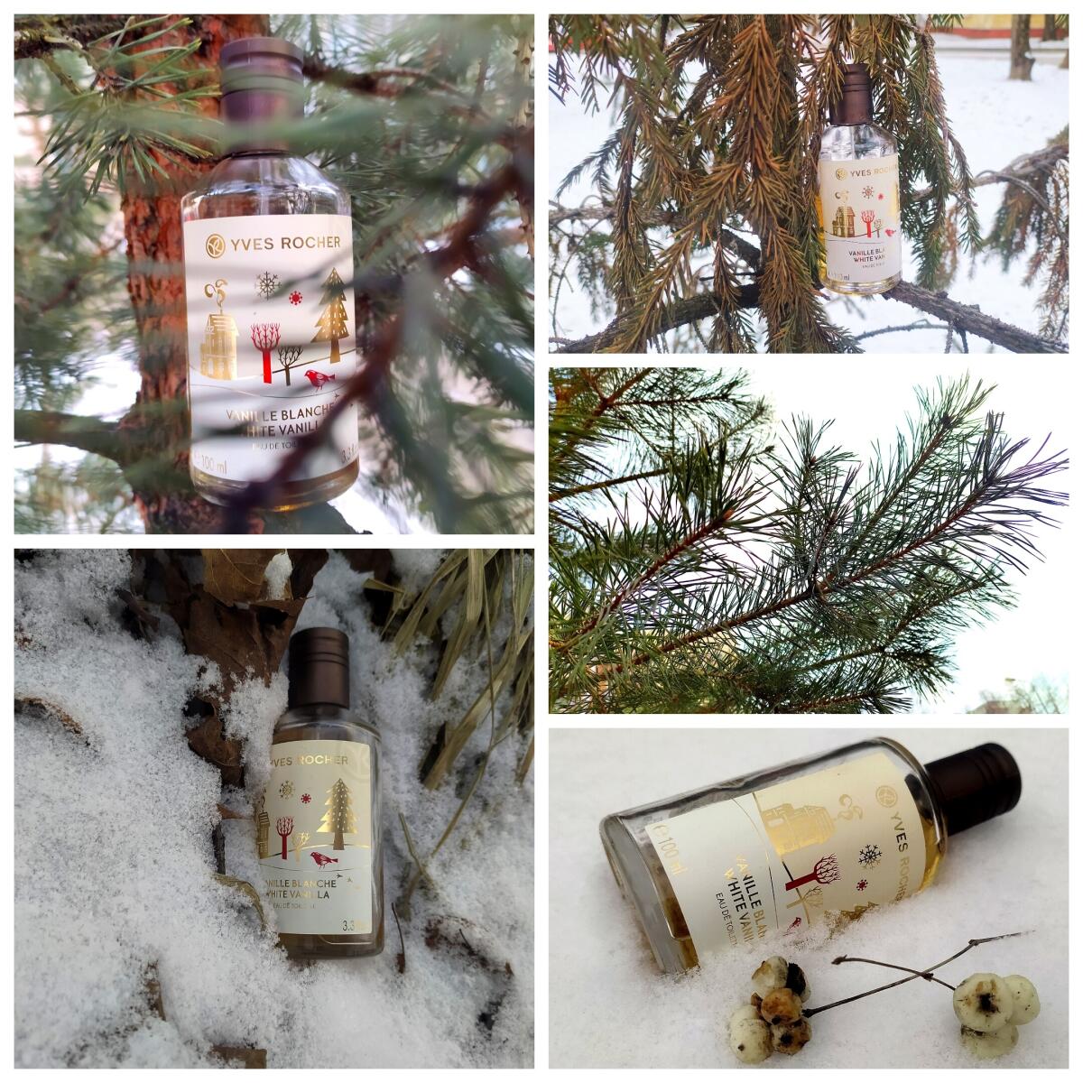 عطر ادکلن وانیل بلانچ ایوز روشه - Vanille Blanche Yves Rocher - بررسی، قیمت و خرید