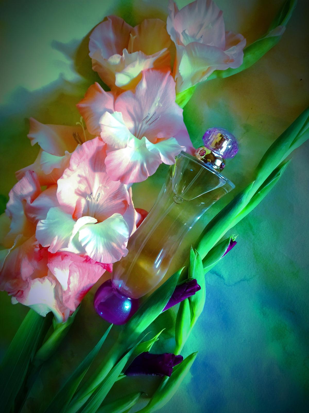 عطر ادکلن ورساچه وومن ورساچه - Versace Woman Versace - بررسی، قیمت و خرید