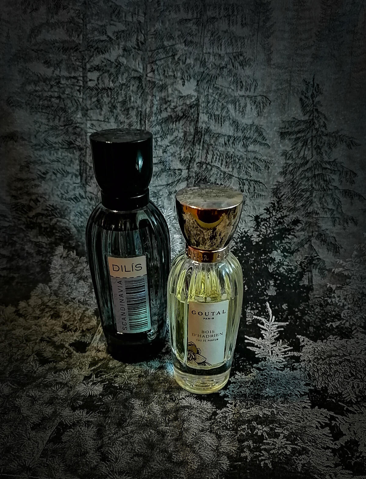 عطر ادکلن اسکاندیناوی دیلیس پرفیوم - Scandinavia Dilís Parfum - بررسی، قیمت و خرید
