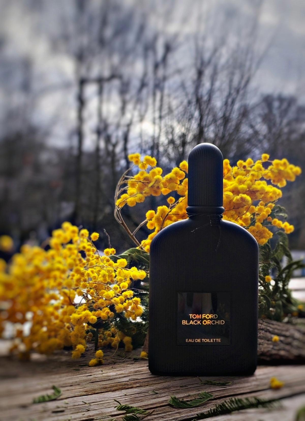 عطر ادکلن بِلَک اُرکید اُ دِ تویلت تام فورد - Black Orchid Eau de Toilette (2023) Tom Ford - بررسی، قیمت و خرید