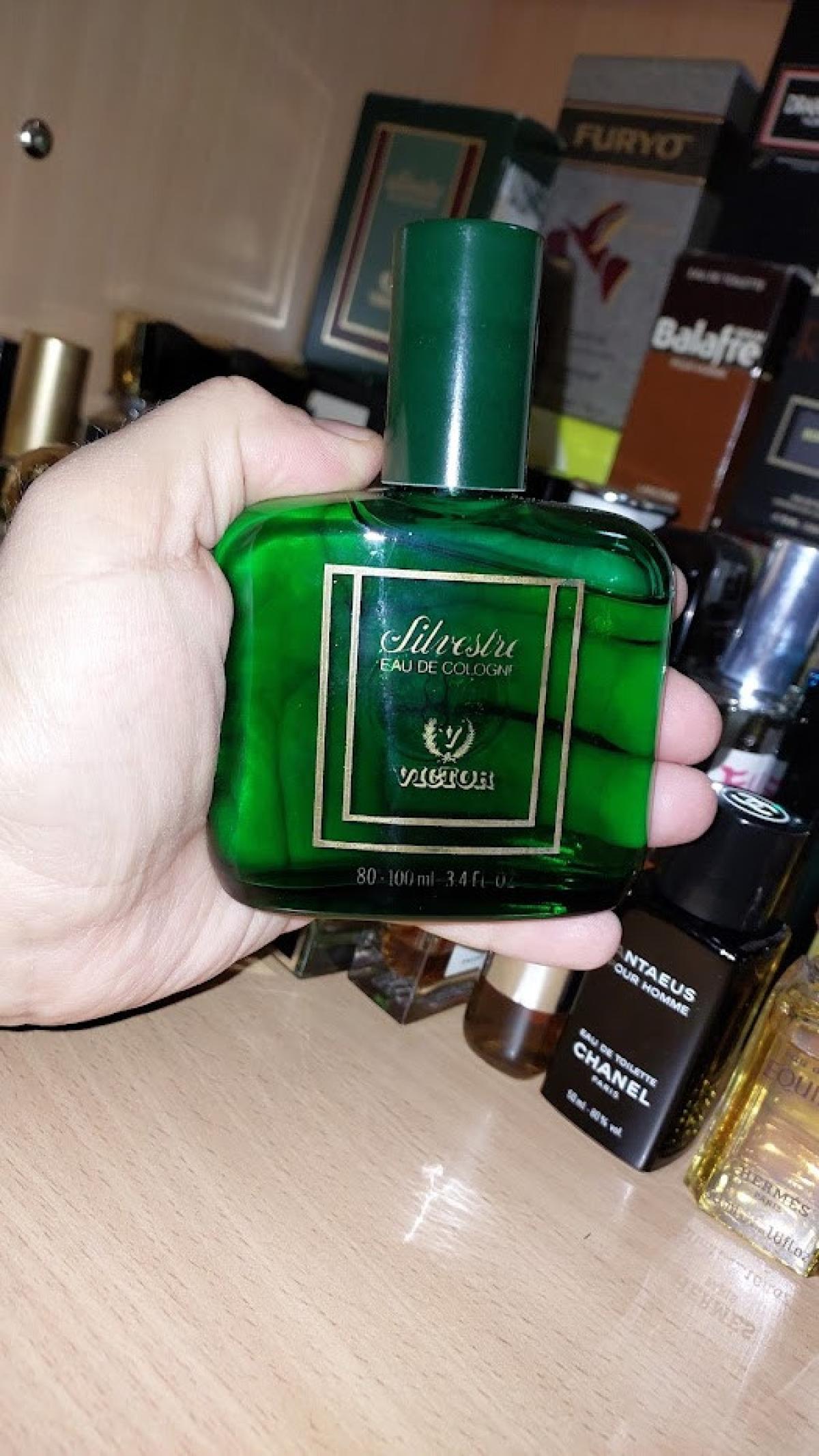 عطر ادکلن سیلوستر ویکتور - Silvestre Victor - بررسی، قیمت و خرید