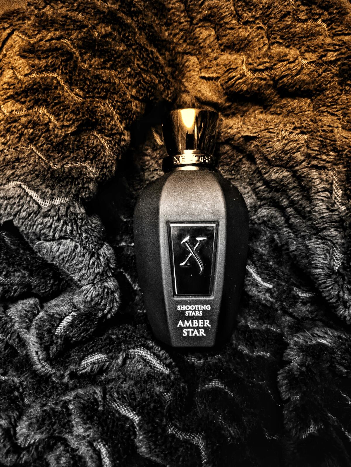 عطر ادکلن امبر استار زرژف - Amber Star Xerjoff - بررسی، قیمت و خرید