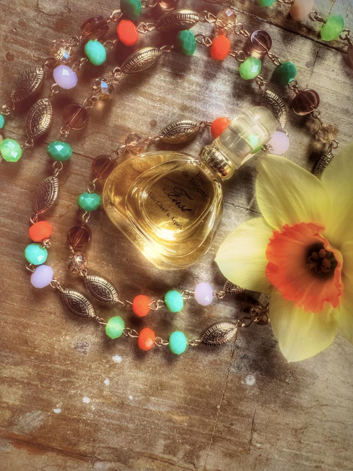 عطر ادکلن فرست ون کلیف اند آرپلس - First Van Cleef & Arpels - بررسی، قیمت و خرید