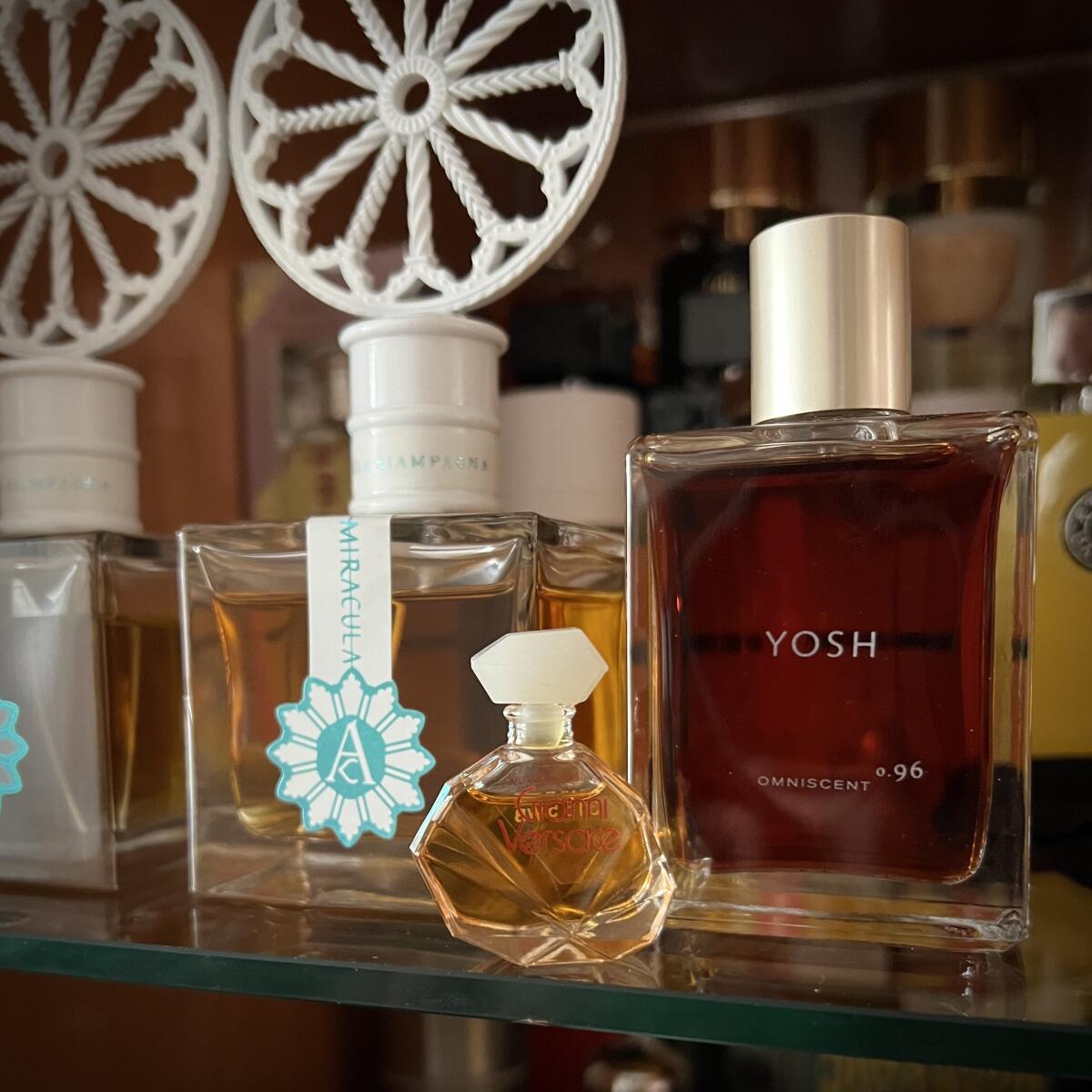 عطر ادکلن جیانی ورساچه ورساچه - Gianni Versace Versace - بررسی، قیمت و خرید