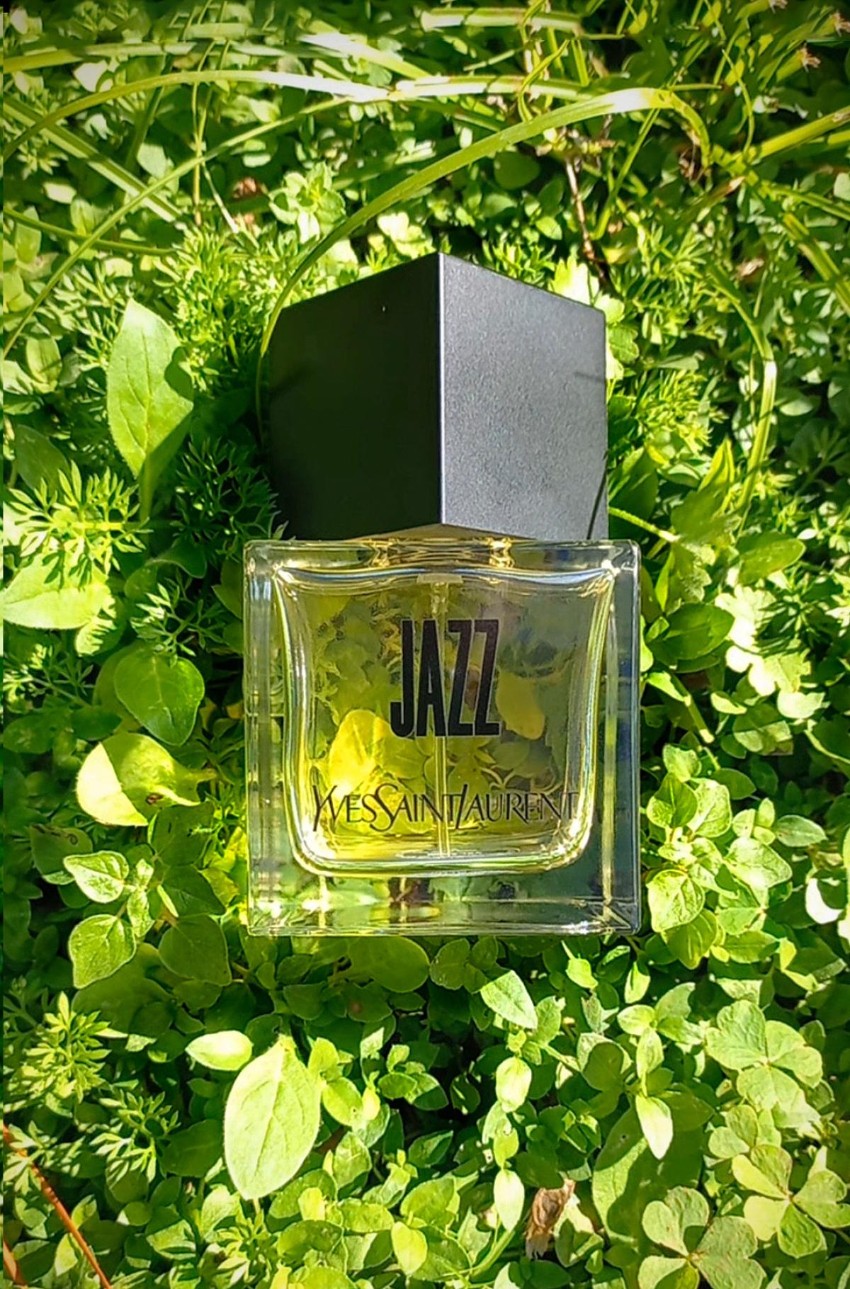عطر ادکلن لا کالکسیون جاز ایو سن لوران - La Collection Jazz Yves Saint Laurent - بررسی، قیمت و خرید