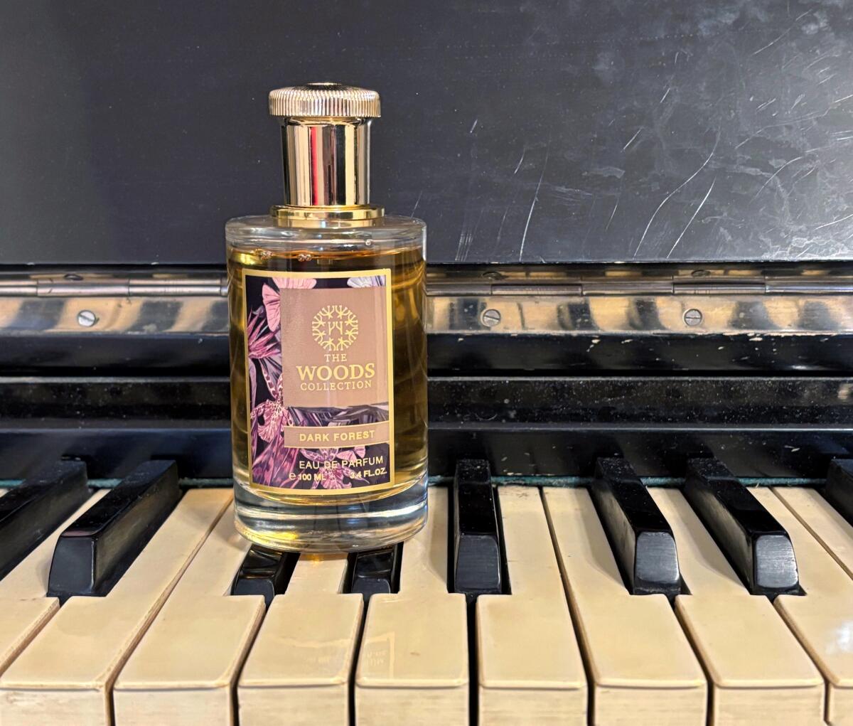 عطر ادکلن دارک فورست ده وودز کالکشن - Dark Forest The Woods Collection - بررسی، قیمت و خرید