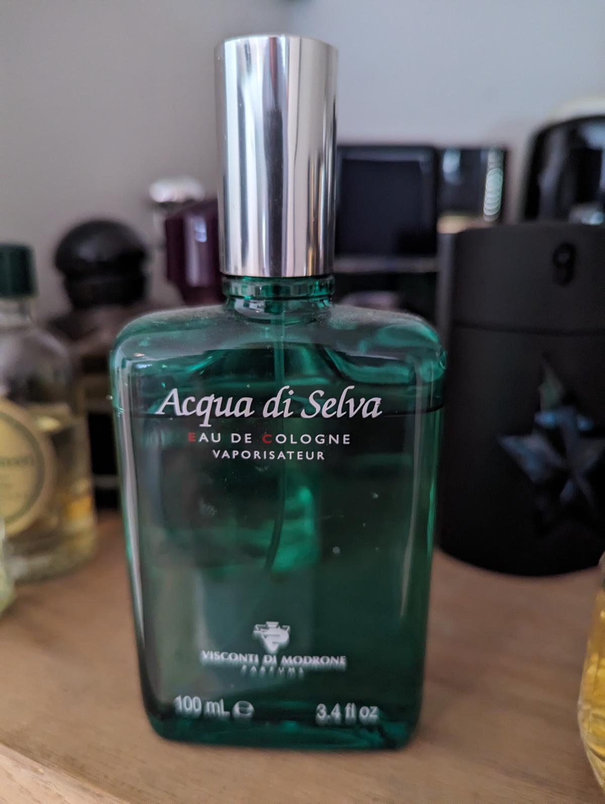 عطر ادکلن آکوا دی سلوا ویسکونتی دی مودرونه - Acqua di Selva Visconti di Modrone - بررسی، قیمت و خرید