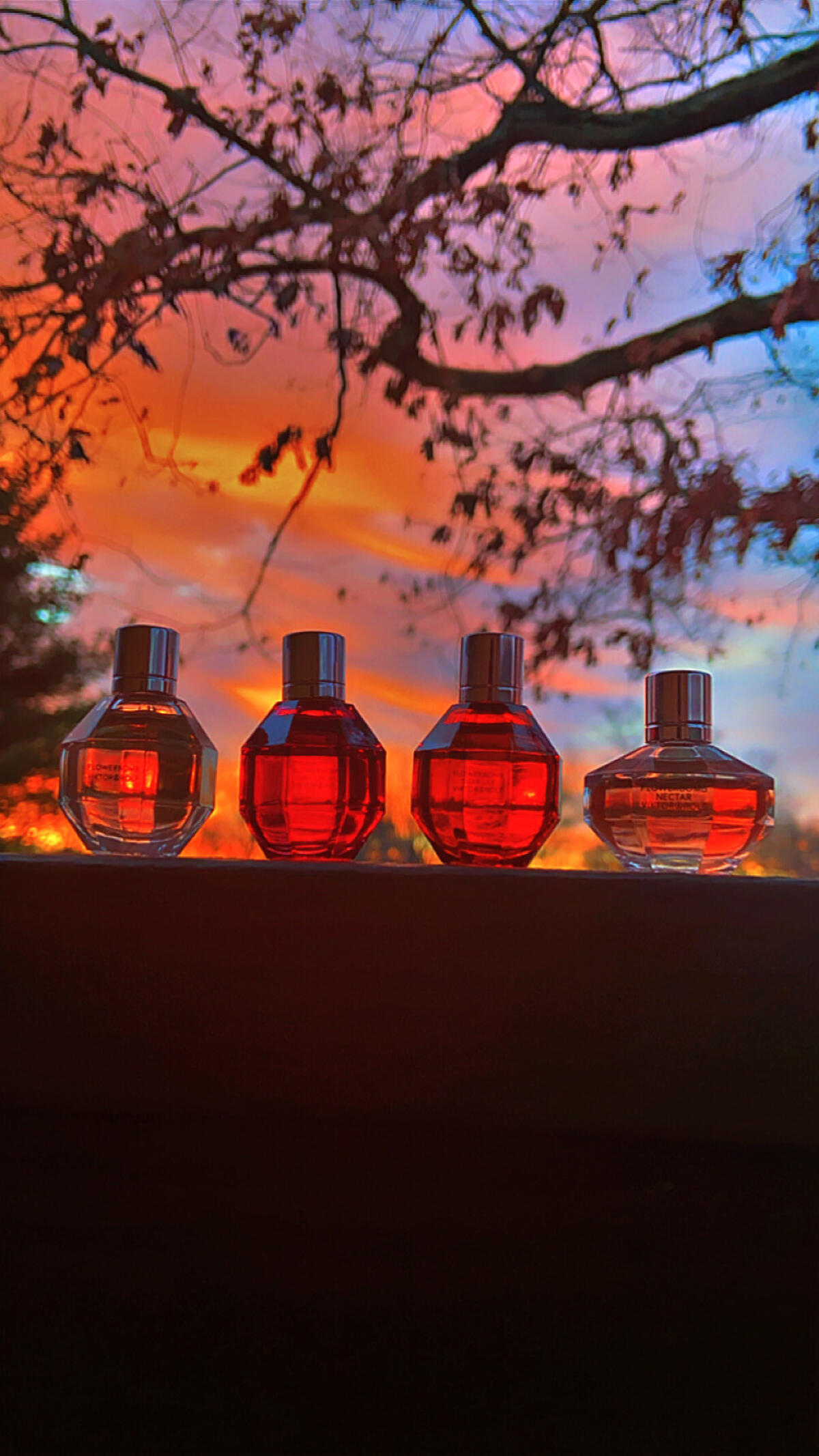 عطر ادکلن فلاوربامب نکتار ویکتور اند رولف - Flowerbomb Nectar Viktor&Rolf - بررسی، قیمت و خرید