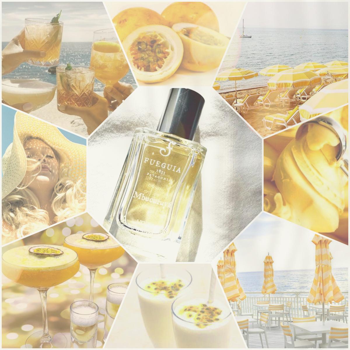 عطر ادکلن مبوکوریا فگیا ۱۸۳۳ - Mbucuruyá Fueguia 1833 - بررسی، قیمت و خرید