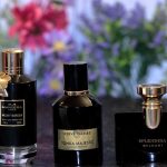 عطر ادکلن تانکا ماجستیک هوروه گمبز پاریس - Tonka Majestic Herve Gambs Paris - بررسی، قیمت و خرید