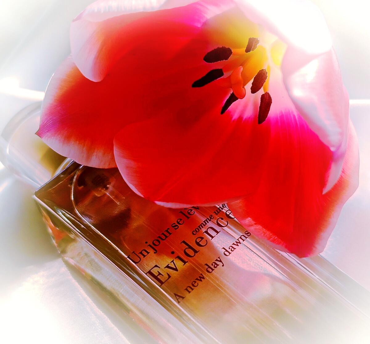 عطر ادکلن کام اِن اویدنس اَ نو دی دانس ایوروشه - Comme une Evidence A New Day Dawns Yves Rocher - بررسی، قیمت و خرید