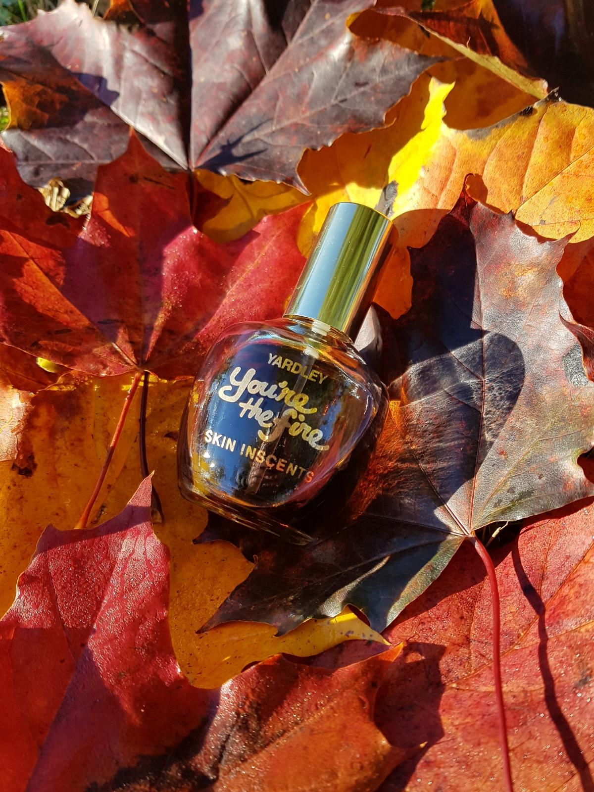 عطر ادکلن یور د فایر یاردلی - You’re the Fire Yardley - بررسی، قیمت و خرید