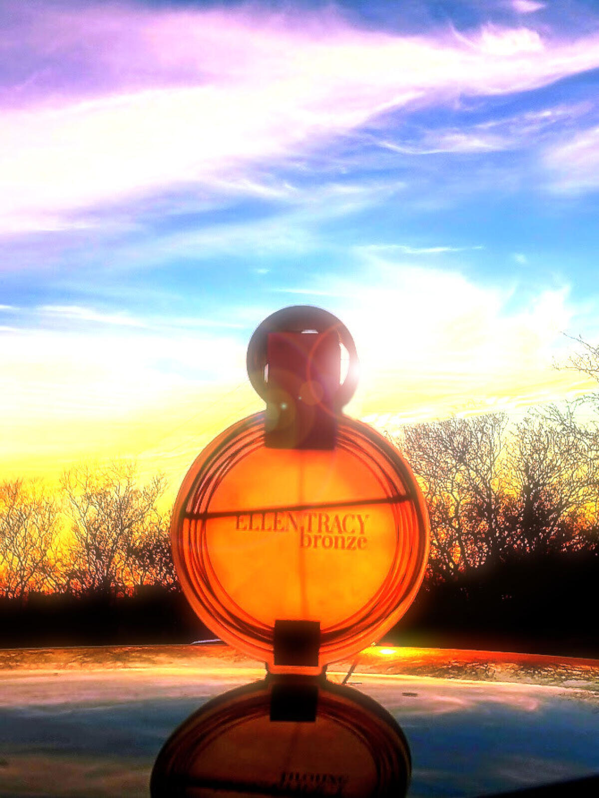 عطر ادکلن برنز الن تریسی - Bronze Ellen Tracy - بررسی، قیمت و خرید