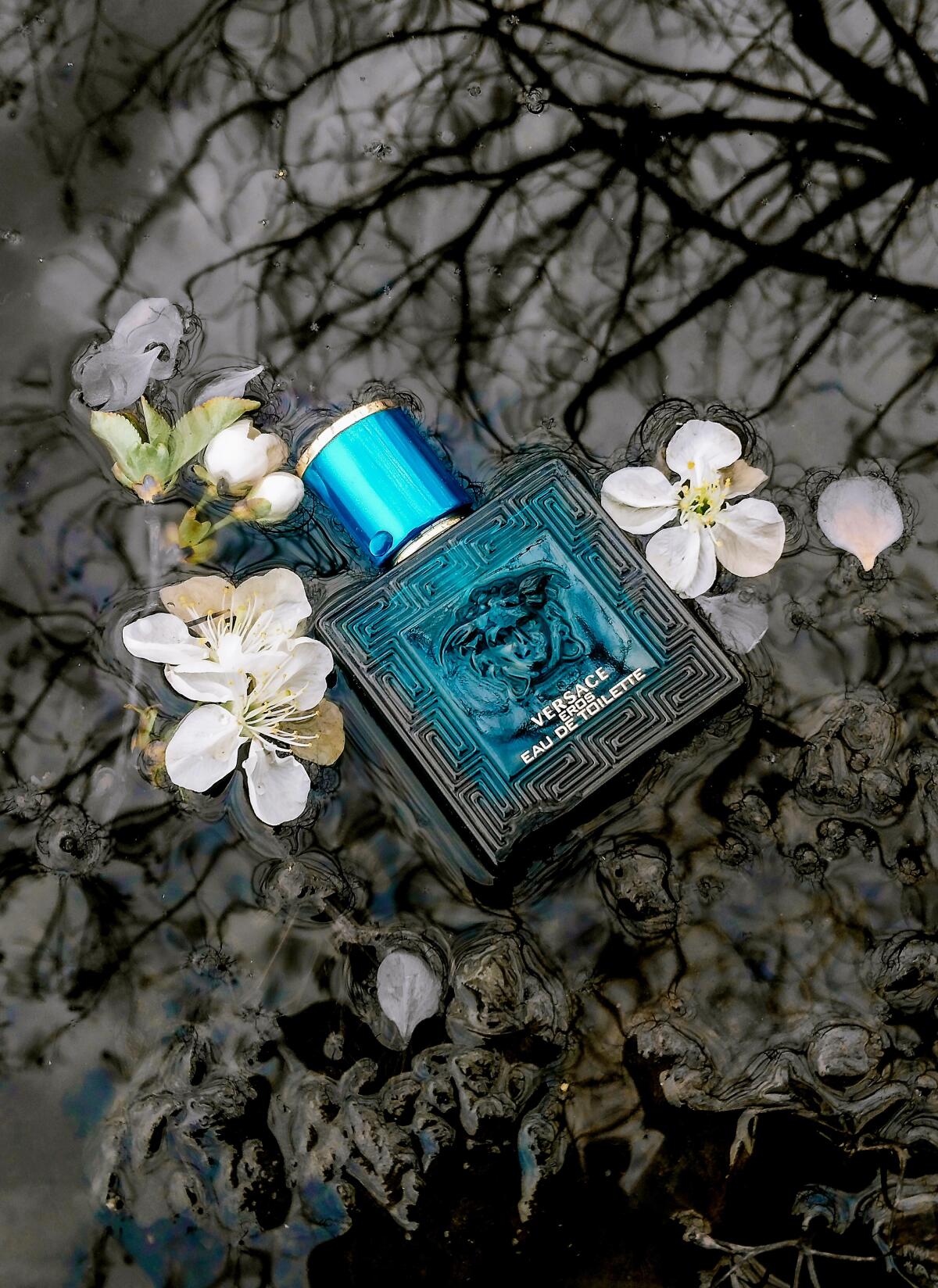 عطر ادکلن ایروس ورساچه - Eros Versace - بررسی، قیمت و خرید