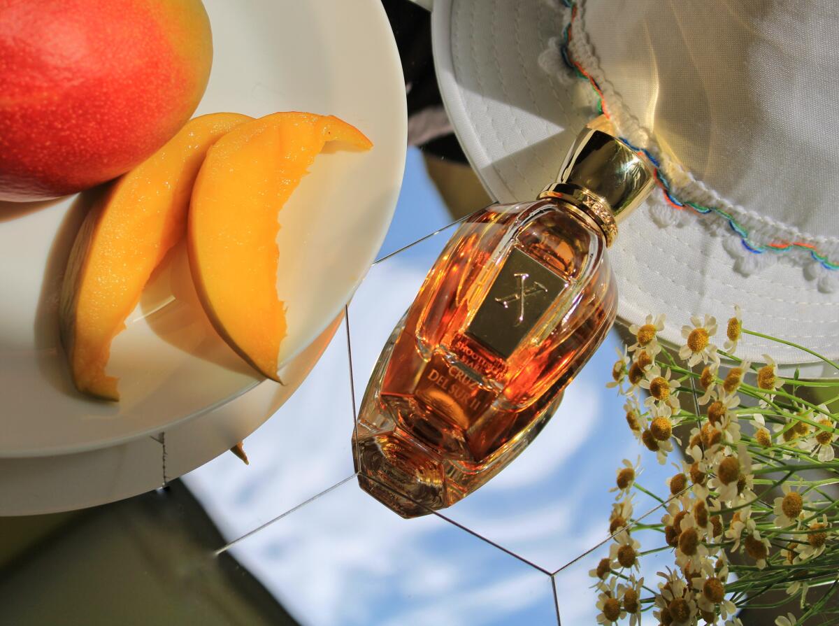 عطر ادکلن کروز دل سور دو زرژوف - Cruz del Sur II Xerjoff - بررسی، قیمت و خرید