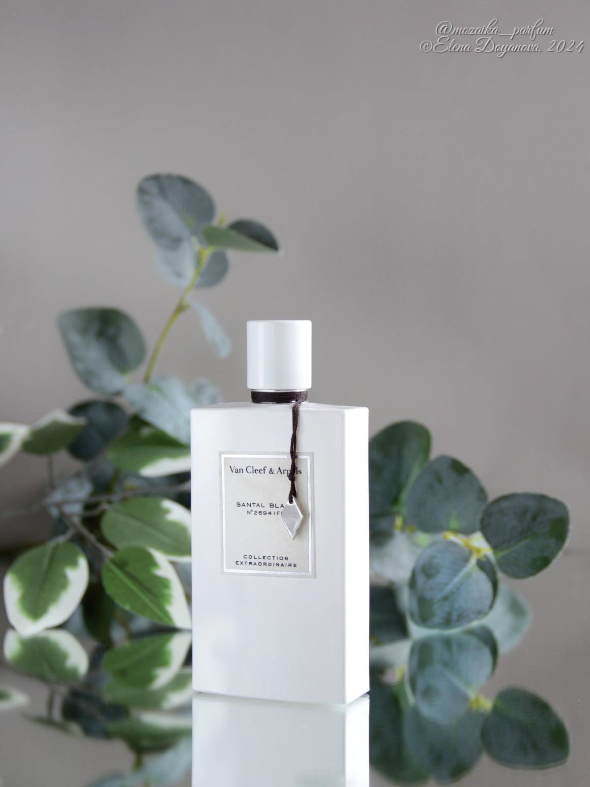 عطر ادکلن سانتال بلانک ون کلیف اند آرپلز - Santal Blanc Van Cleef & Arpels - بررسی، قیمت و خرید