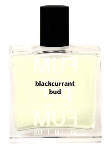 عطر ادکلن بلک کورنت باد فام پرفام - Blackcurrant Bud FUMparFUM - بررسی، قیمت و خرید
