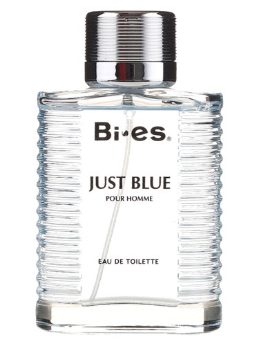 عطر ادکلن جاست بلو پور هوم بی‌اس - Just Blue Pour Homme Bi-es - بررسی، قیمت و خرید