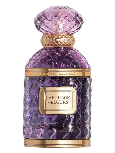 عطر ادکلن کارتاژ ولورز قَلَطی - Carthage Velours Ghalati - بررسی، قیمت و خرید