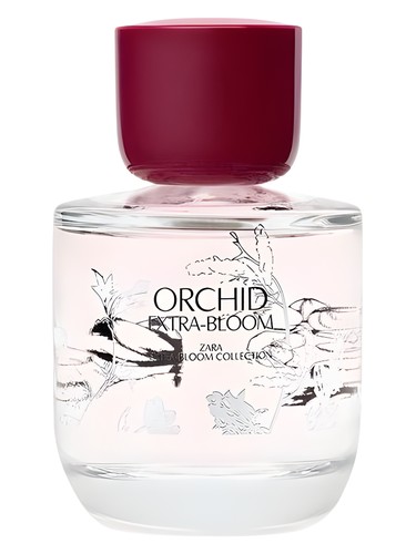عطر ادکلن اورکید اکسترا-بلوم زارا - Orchid Extra-Bloom Zara - بررسی، قیمت و خرید