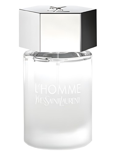 عطر ادکلن لوم او دِته ایو سن لوران - L'Homme Eau d'Eté Yves Saint Laurent - بررسی، قیمت و خرید