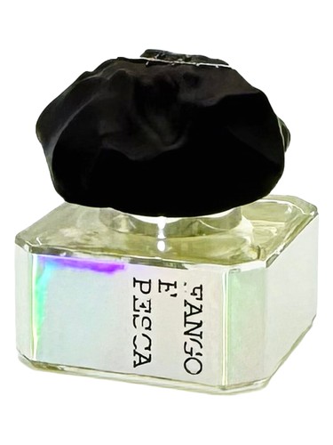 عطر ادکلن فانگو اِ پِسکا فیلیپو سورچینلی - Fango e Pesca Filippo Sorcinelli - بررسی، قیمت و خرید