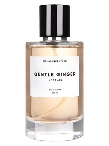 عطر ادکلن جنتل جینجر نامبر زیرو سون زیرو فایو یوجوال پرفیومز - Gentle Ginger № 07-05 Usual Parfums - بررسی، قیمت و خرید
