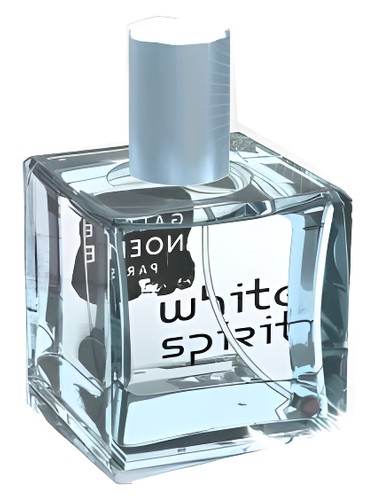 عطر ادکلن وایت اسپریت گالری نومی - White Spirit Galerie Noemie - بررسی، قیمت و خرید