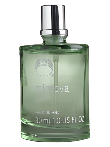 عطر ادکلن مینتوا بادی شاپ - Minteva The Body Shop - بررسی، قیمت و خرید