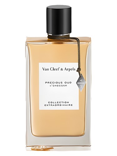 عطر ادکلن پرشس عود ون کلیف اند آرپلز - Precious Oud Van Cleef & Arpels - بررسی، قیمت و خرید