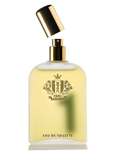 عطر ادکلن ایکس پِک ترینیتی وان اِکس‌پِک - Xpec Trinity 1 Xpec - بررسی، قیمت و خرید